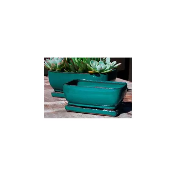 Verandah 9x7 Rosemary Bonsai Jade