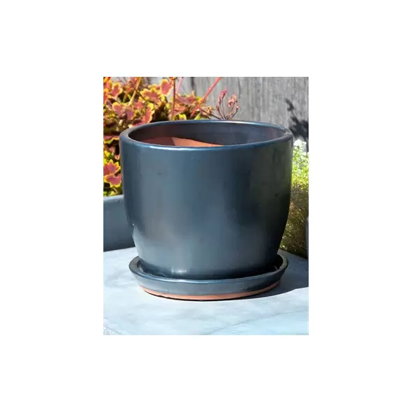 Verandah 8.5"x7.5" Lily Svr
