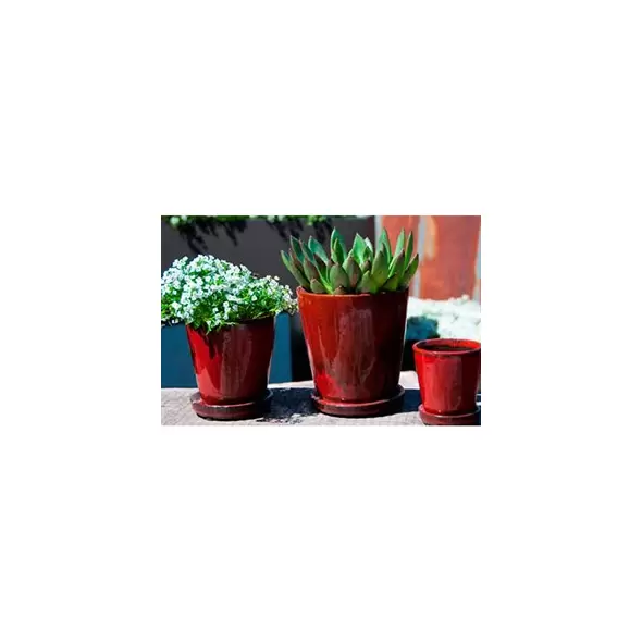 Verandah Lilac Size A Trd