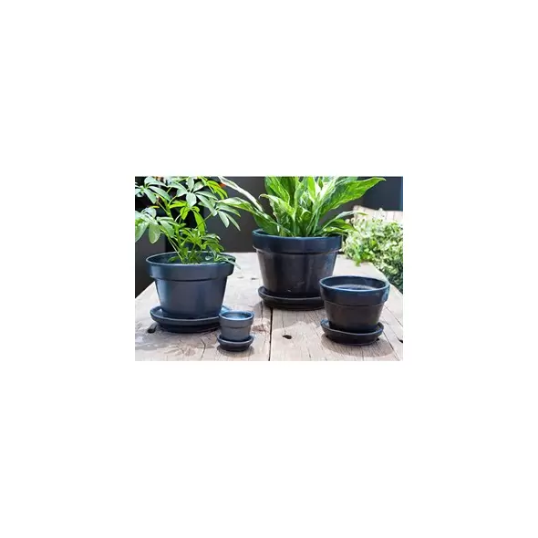 Verandah 5.5x4.5 Silver Standard with Saucer