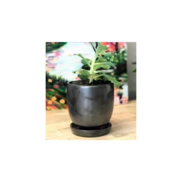 Verandah 7" Svr Maui Pot