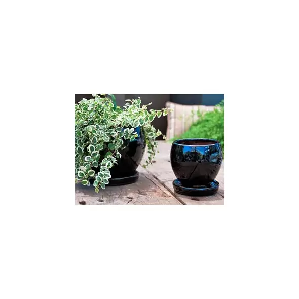 Verandah Gerberba Size A Blk