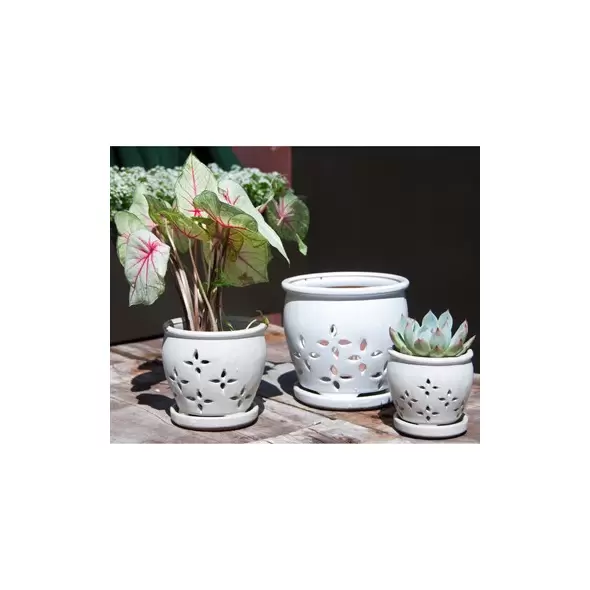 Verandah 6.0" Wsp Hilo Orchid Pot
