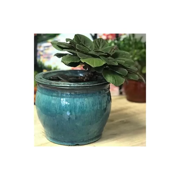 Verandah 5x3.5 Round Self Watering Jade