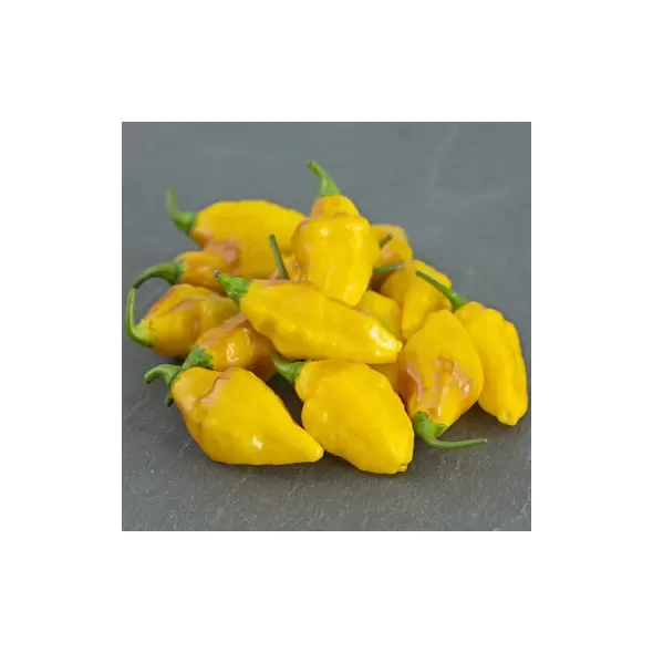 Peppers, Habanero Yellow - 10,000 Seed Count