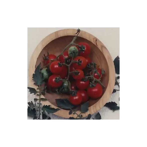 Tomato, Tommy Toe - 5,000 Seed Count
