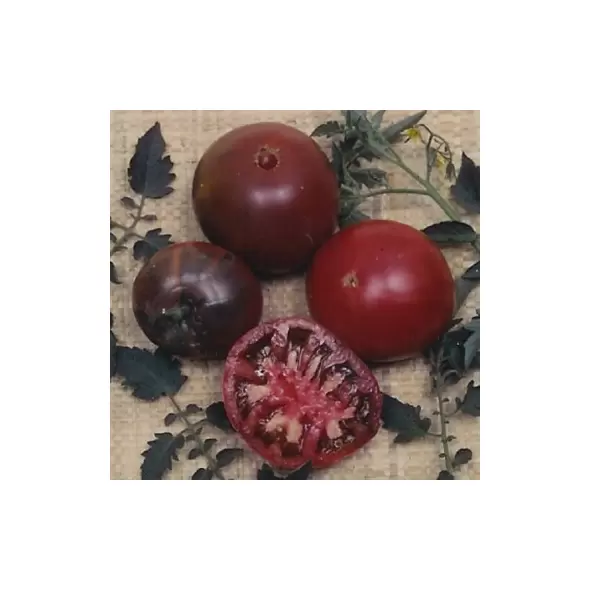 Tomato, Black Krim - 10,000 Seed Count