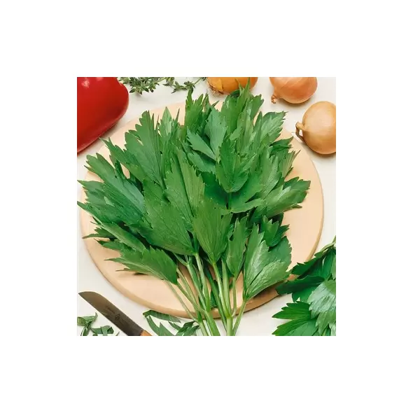 Lovage 1/16 oz