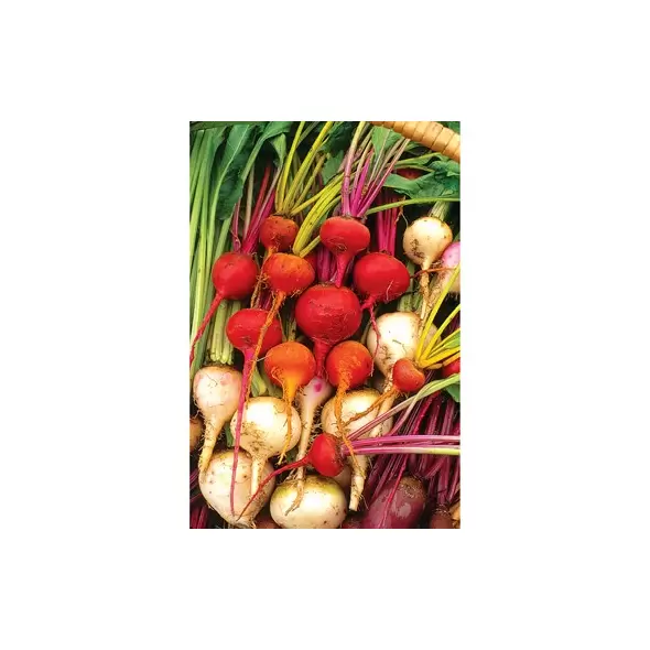 Beets, White Detroit - 1/2oz