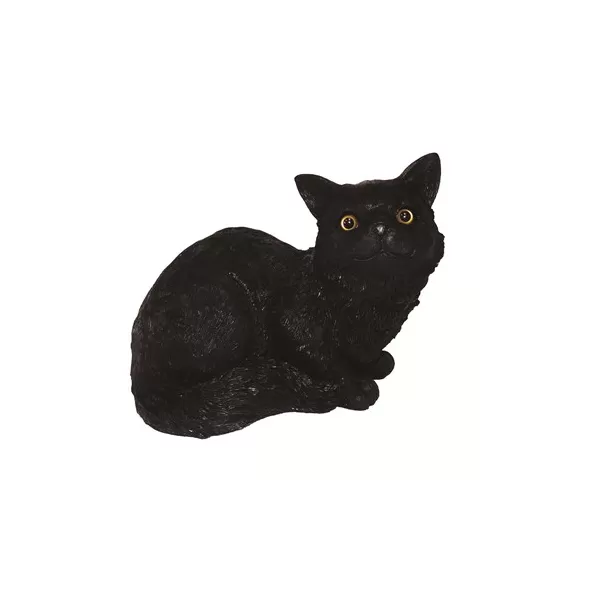 MCarr Cat Sitting Down Meowing Black