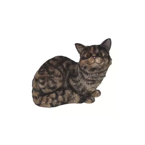 MCarr Cat Sitting Down Meowing Tiger Gray