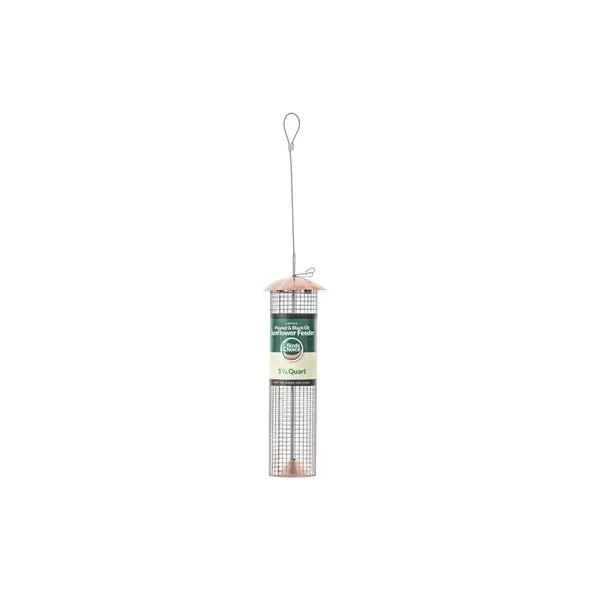 Birds Choice Medium Mesh Hanging Copper Tube Feeder for Shelled Peanuts & Black Oil Sunflower Seed