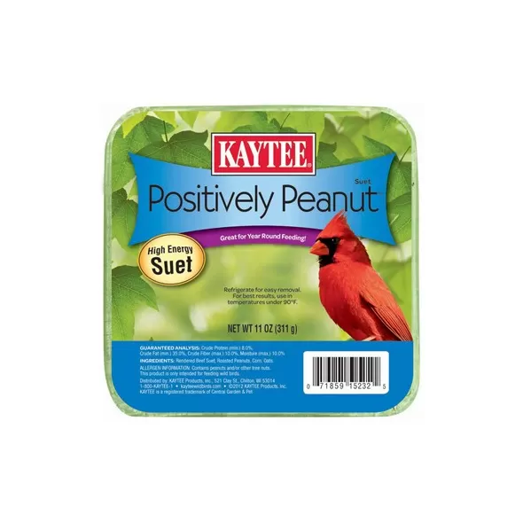 Kaytee 11oz Positively Peanut Suet