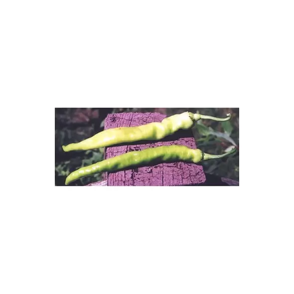 Peppers, Pepperoncini Greek Golden - 10,000 Seed Count