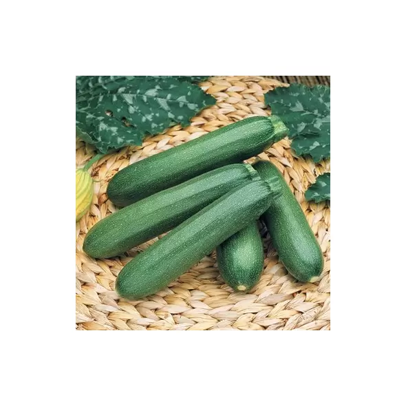 Squash, Payroll FarMore Treated - 1,000 Seed Count