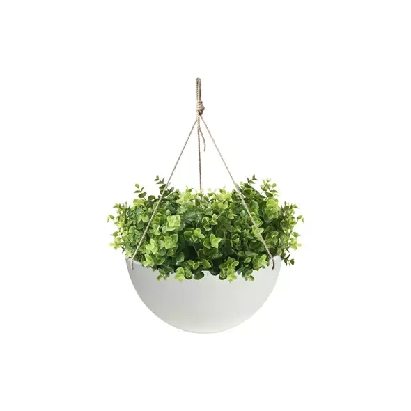 Algreen 14" Acerra Hanging Basket White