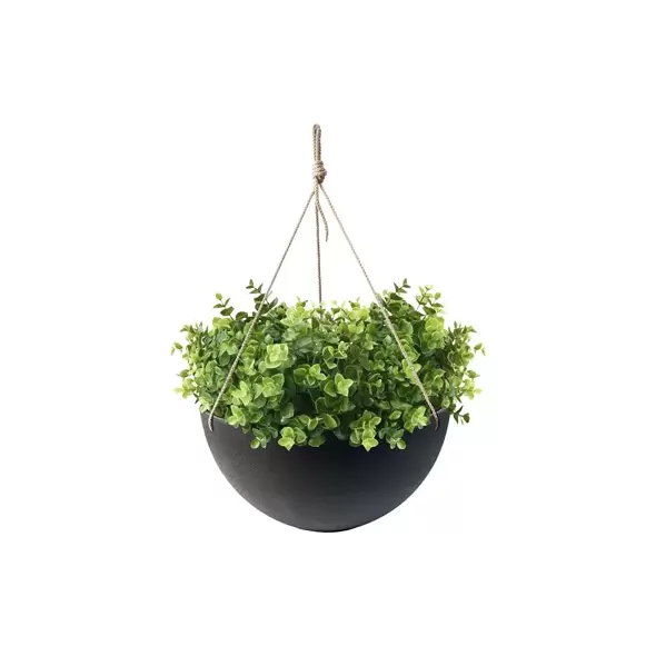 Algreen 14" Acerra Hanging Basket Black