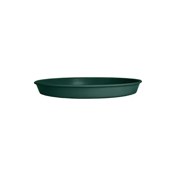 HC 14" Prima Saucer in Evergreen