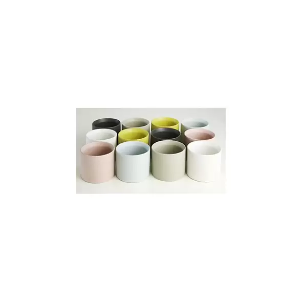 Palm Spring 3"x3" Cylinder Cache Pot