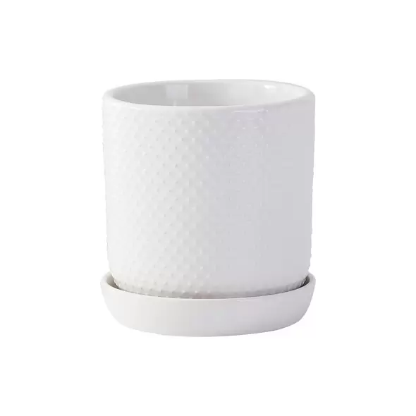 PHG 5"x5.5" Dotted Cylinder Planter Bright White 8/CS