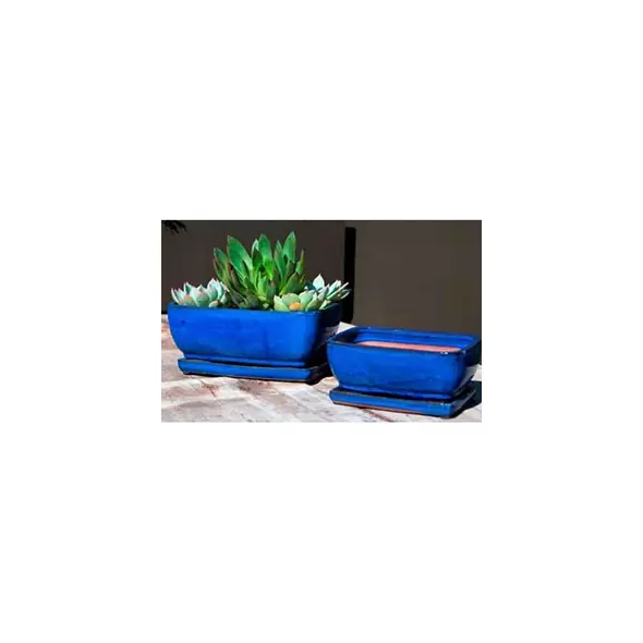 Verandah 9x7 Rosemary Bonsai F Blue
