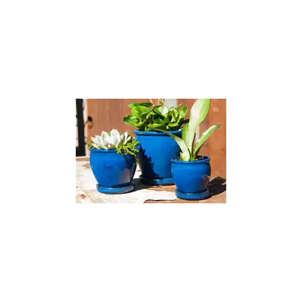 Verandah Butter Cup Size C Fbl