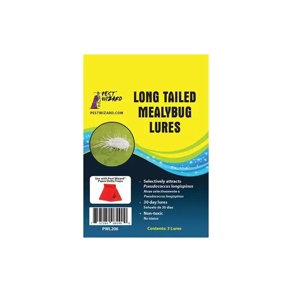 Pest Wizard 3pk Longtailed Mealybug Lure