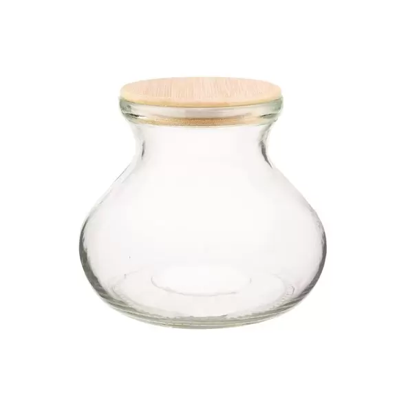 SSI 6" Vase Terrarium with Lid & Light