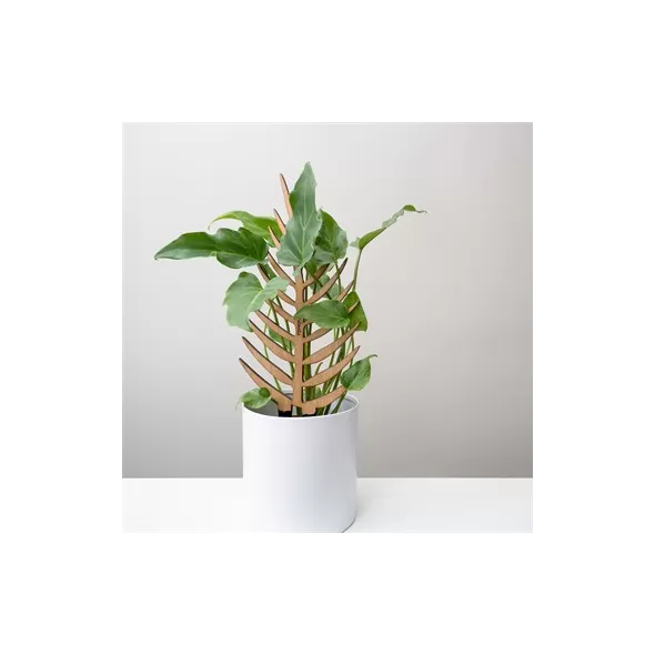 Treleaf 12" Palmella Regular Staked Cherry Finish Classic Collection