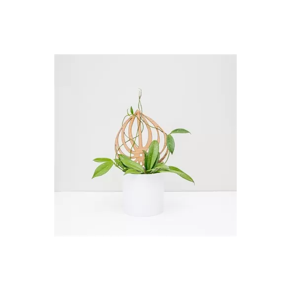 Treleaf 9" Peptrella Petite Staked Cherry Finish Classic Collection