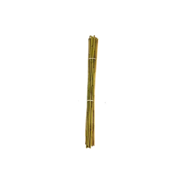 A&G 1"x10' Bamboo Stake