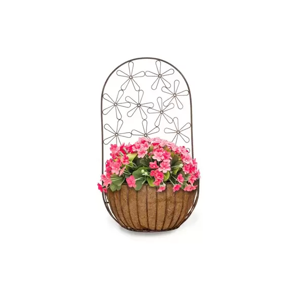 Deer Park Multi-Daisy Wall Planter w/ Coco Liner