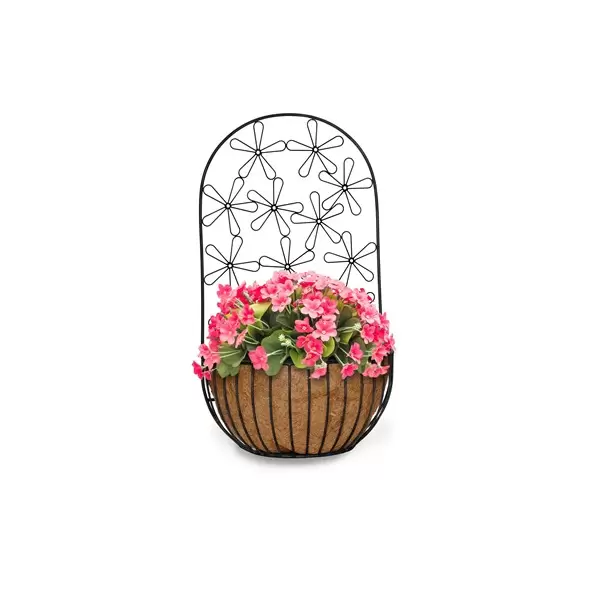 Deer Park Multi-Daisy Wall Planter w/ Coco Liner Black