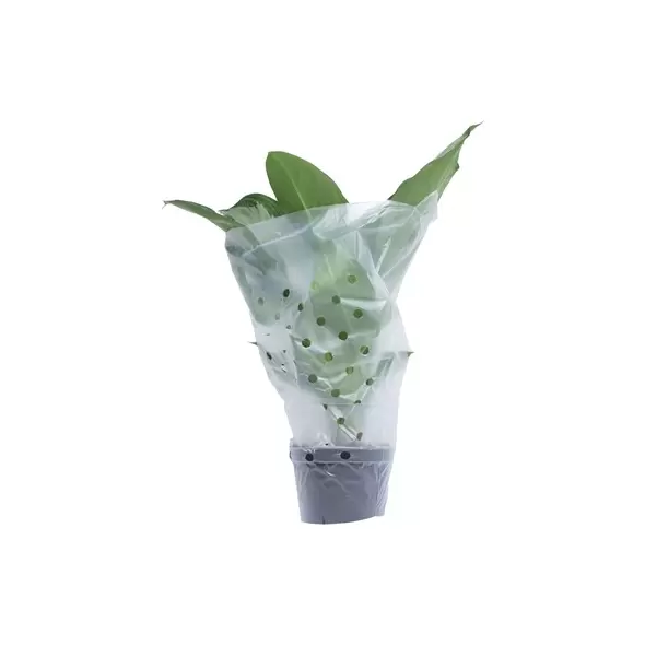 Grower Select Satin Sleeve 10.5x22x24 1000/CS