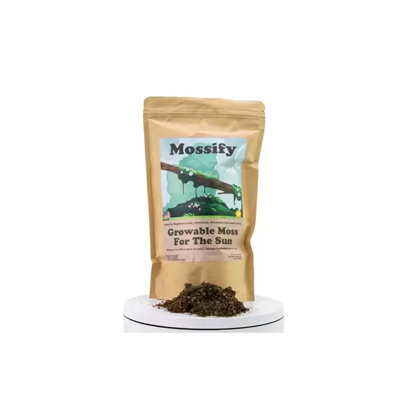 Mossify Sun Growable Moss