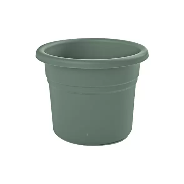 Bloem 8" Posy Planter Basil