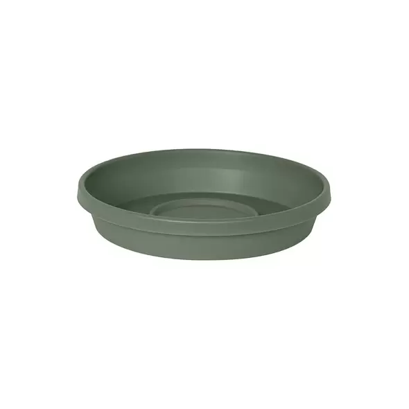 Bloem 8" Terra Saucer Basil