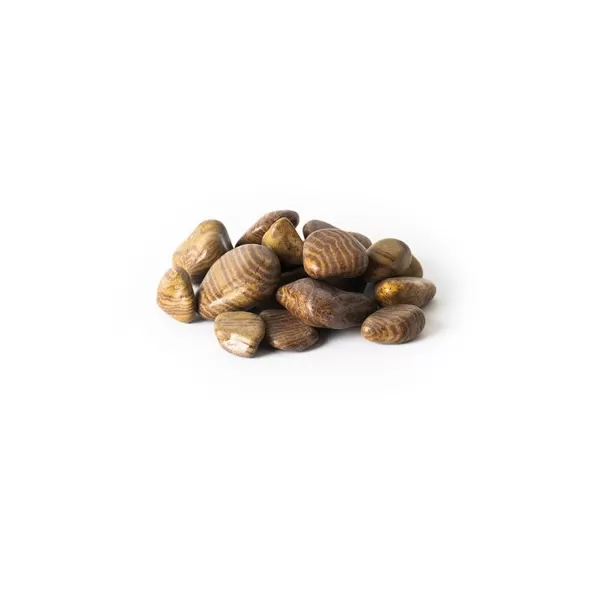 SuperMoss 2qt Bag Stones Cyan