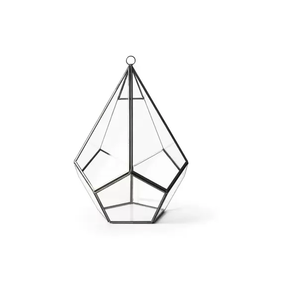 SuperMoss Glass Terrarium Teardrop