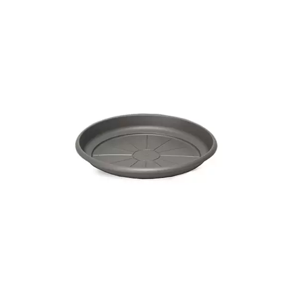 Crescent 8" Emma Saucer Charcoal