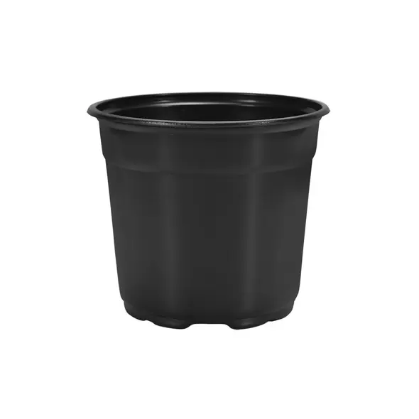 DILLEN 15CM ROUND SHORT COEX POT GREEN/BLACK 680/CS, 32CS/PL, 6"x4.25", 1.3qt