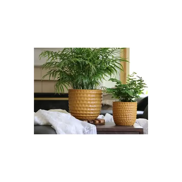 PHG 5.5"x5" Honeycomb Planter Mustard