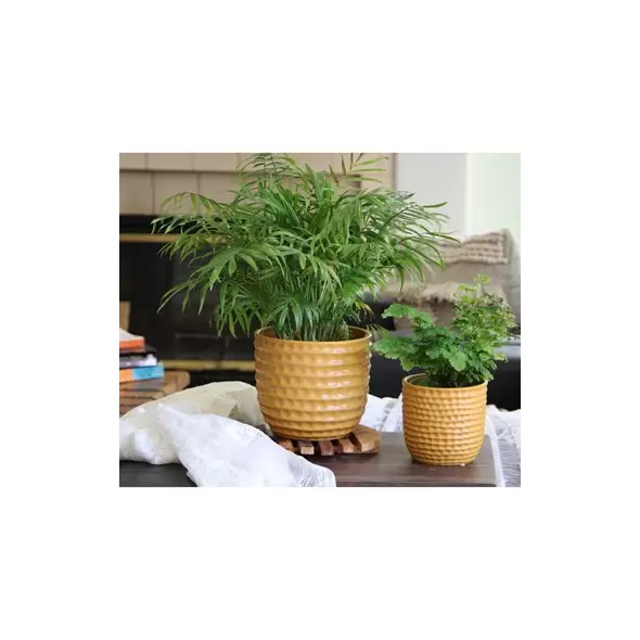 PHG 6.5"x5.5" Honeycomb Planter Mustard