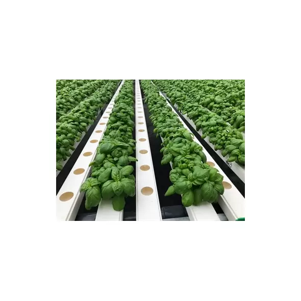 TAPKIT 30'x90' Retrofit Hydroponic System - 9,568 Planting Holes