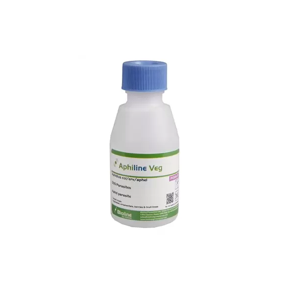 Aphidius colemani + ervi + Aphelinus abdominalis, 500 wasps per bottle ( Aphids )