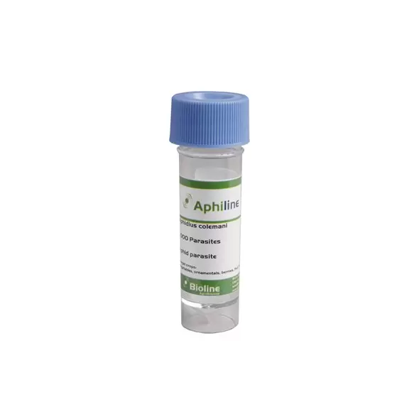 Aphidius colemani 1,000 wasps per vial ( Aphids )