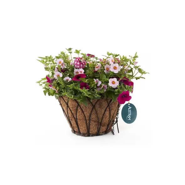 Austram 14" Lotus ProGro Planter Black with Hanger