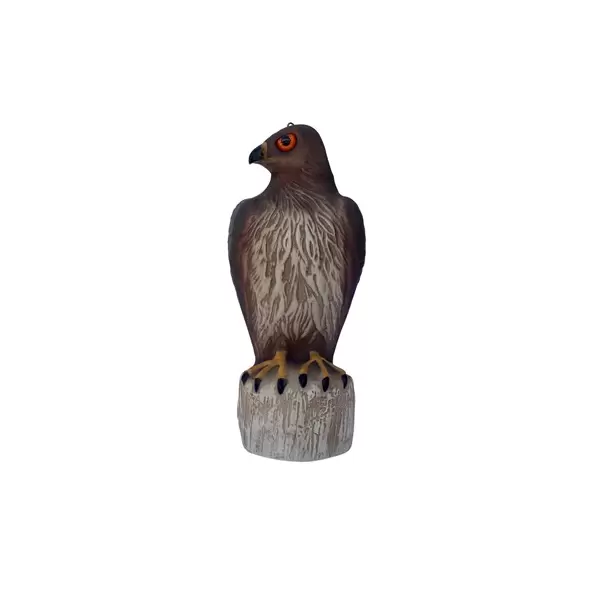 Bird B Gone Hawk