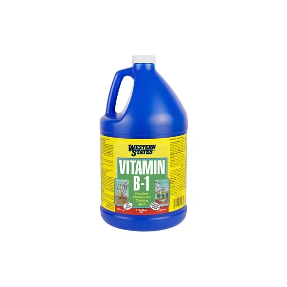 Western States 1gal B-1