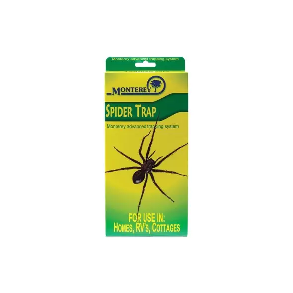 Monterey Spider Trap 4ct